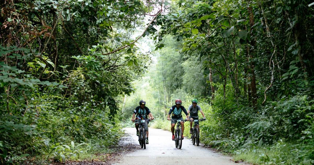 Cycling area near me new arrivals